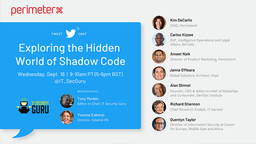 Exploring the Hidden World of Shadow Code